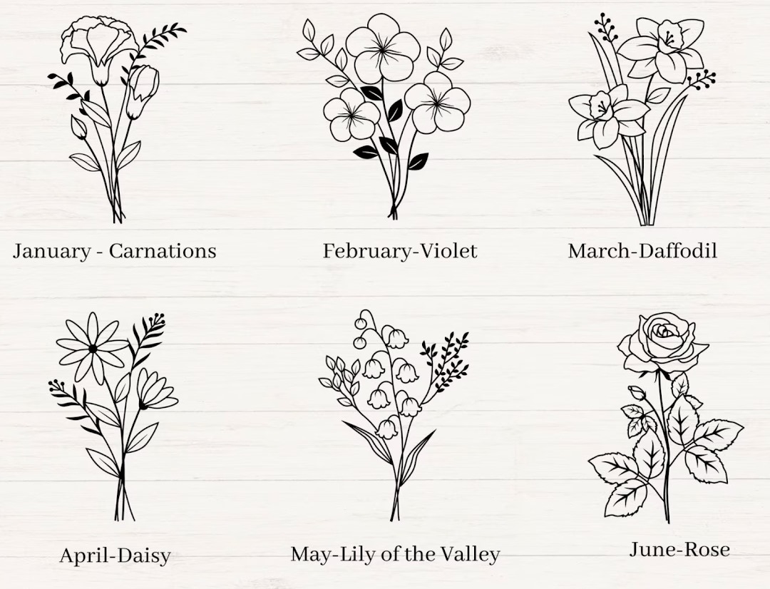 WhatsApp Image 2024-02-28 at 3.45.38 PM (1)