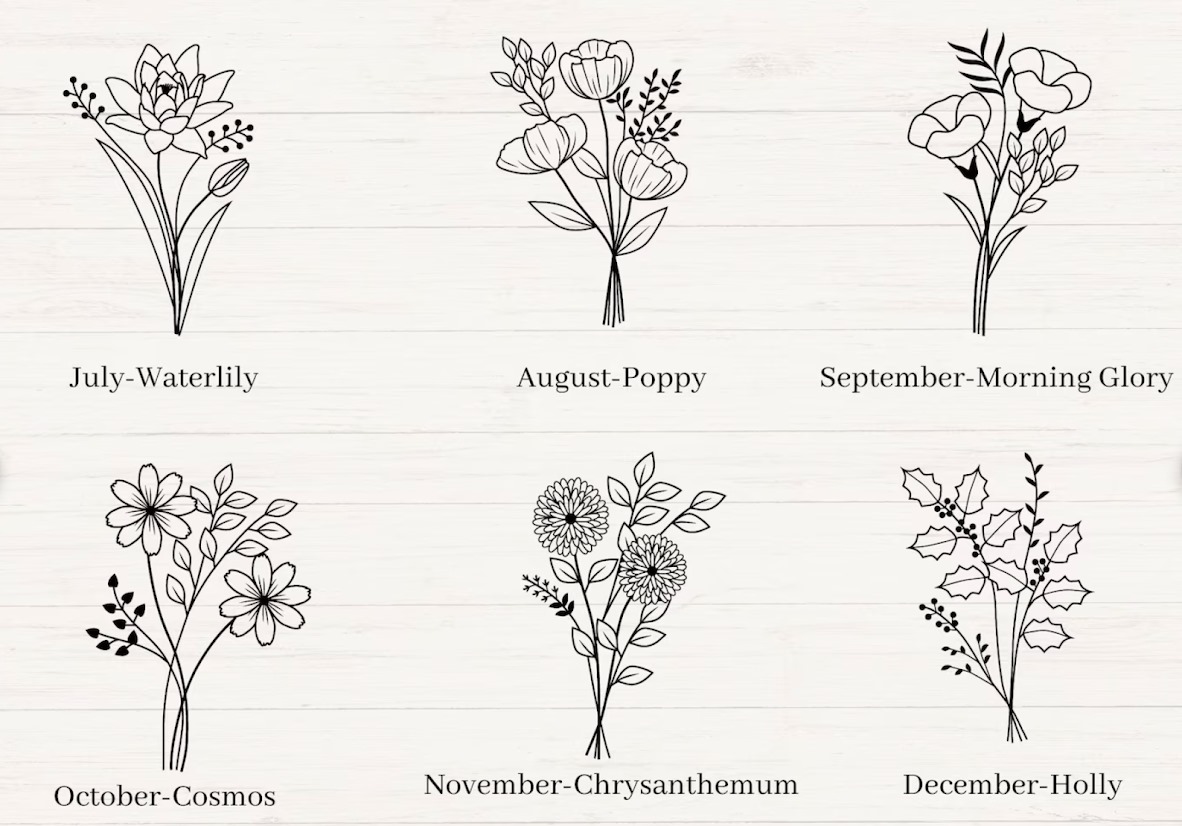 WhatsApp Image 2024-02-28 at 3.45.39 PM